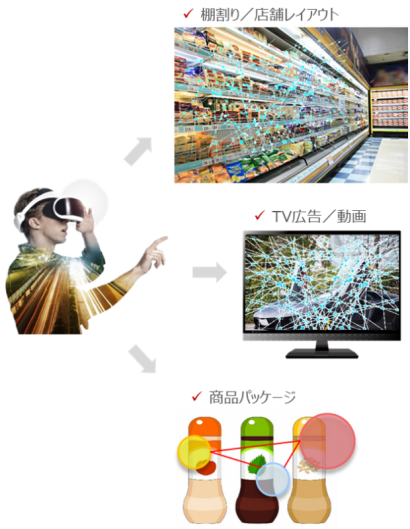 VR／カメラ付きグラスを使用したアイトラッキングイメージ